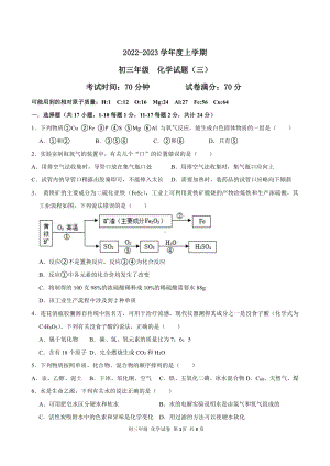 辽宁省沈阳市东北育才双语学校2022-2023学年九年级上学期分流模拟考试（三）化学试题.pdf