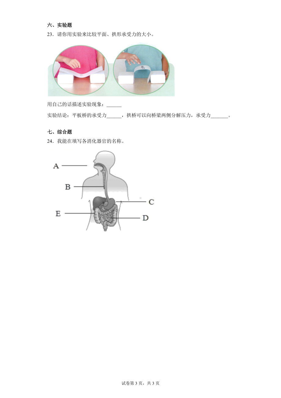 2022新人教鄂教版三年级上册《科学》期末复习摸底检测B卷（含答案）.docx_第3页