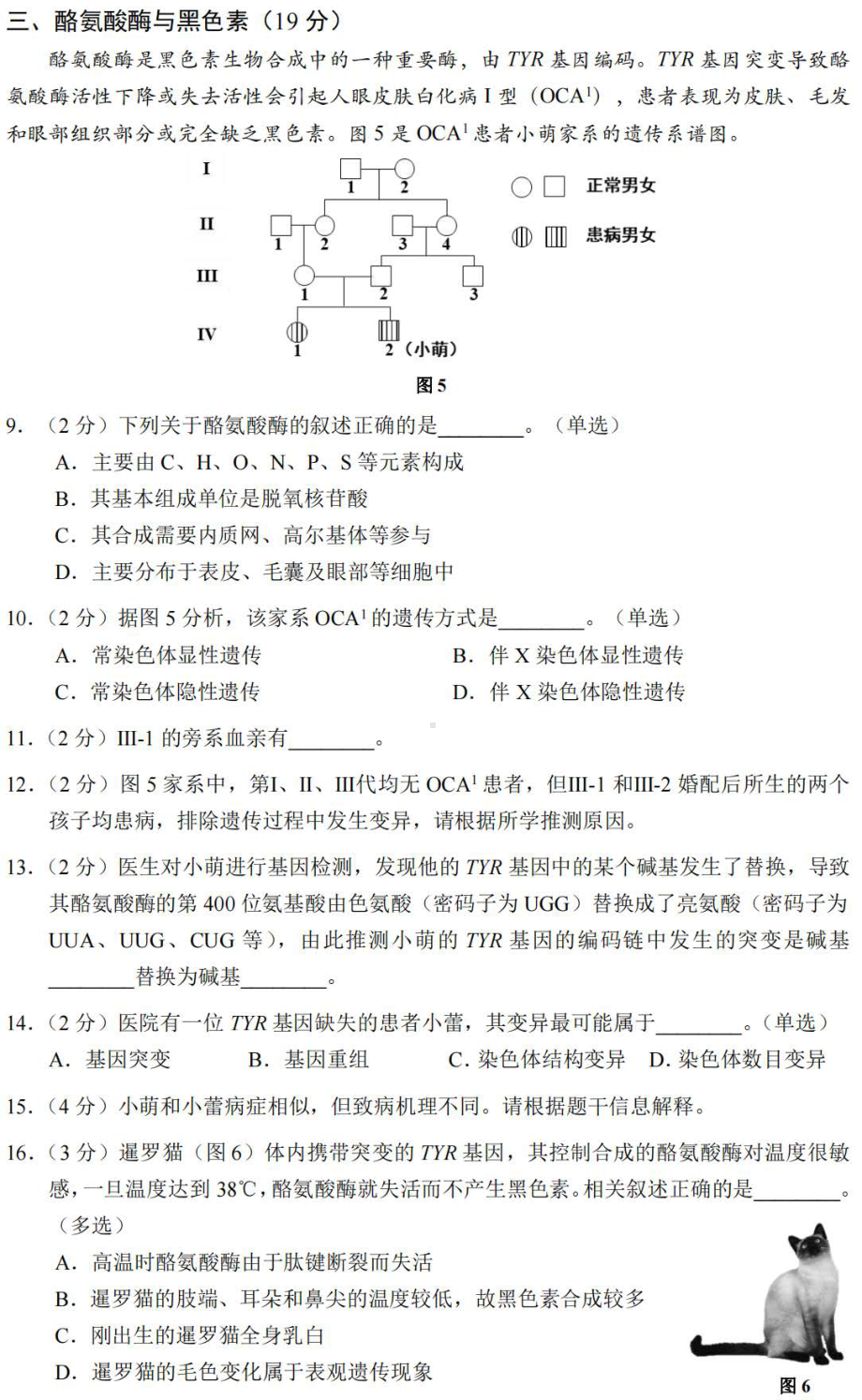 上海市闵行区2022-2023学年高三上学期生物试卷（一模）.pdf_第3页