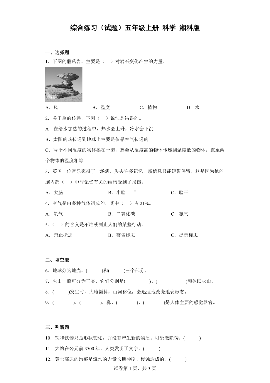 2022新湘科版五年级上册《科学》综合练习（含答案）.docx_第1页