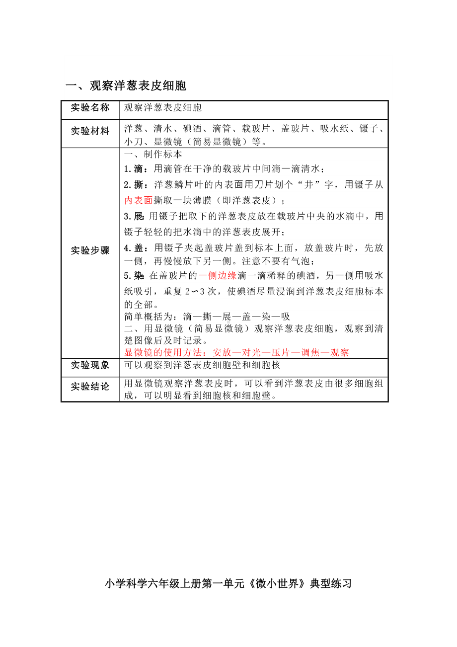 2022新教科版六年级上册《科学》知识点梳理、重点实验、典型练习（期末复习）.docx_第3页