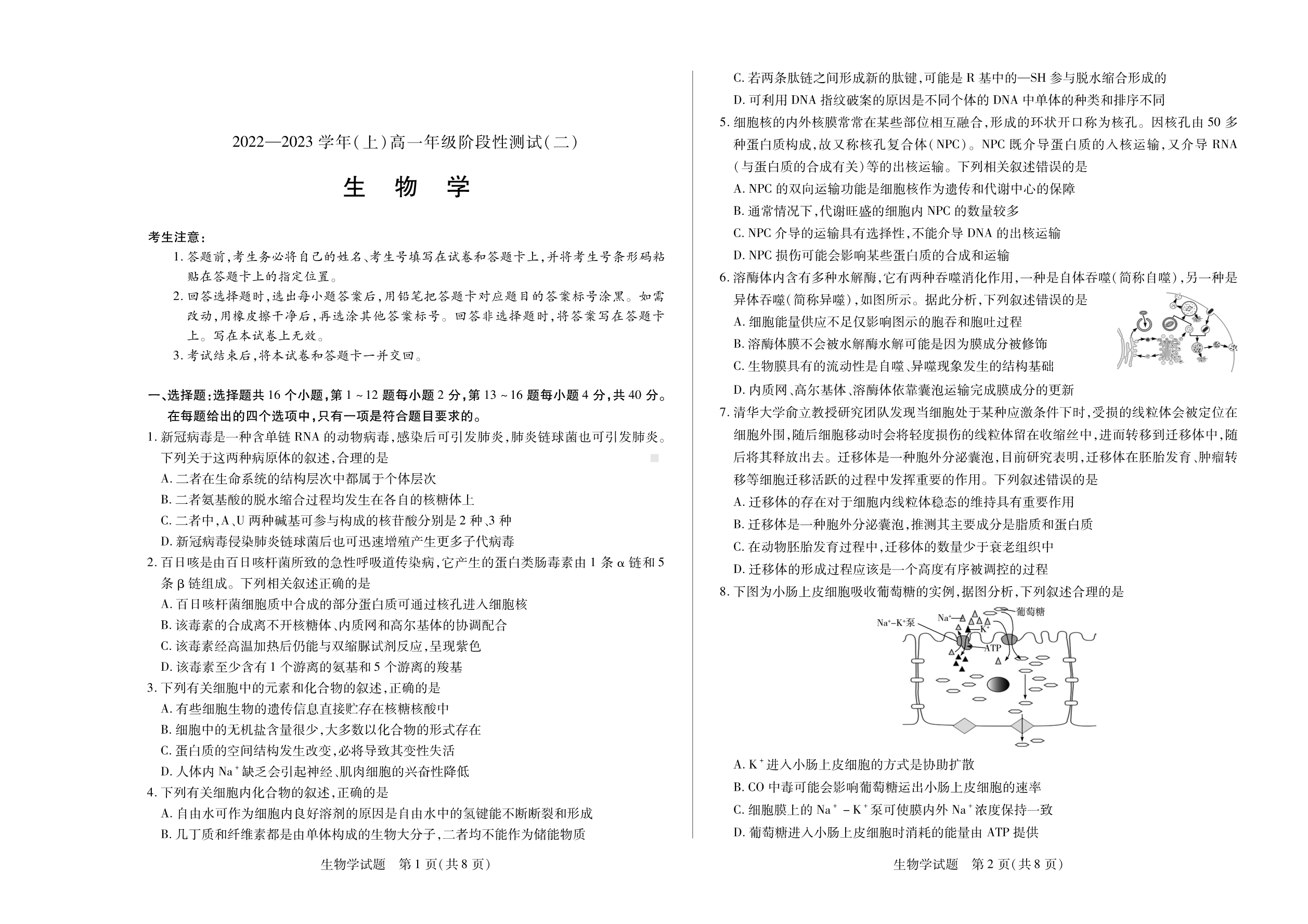 皖豫名校联盟2022-2023学年高一上阶段性测试(二)生物试卷.pdf_第1页