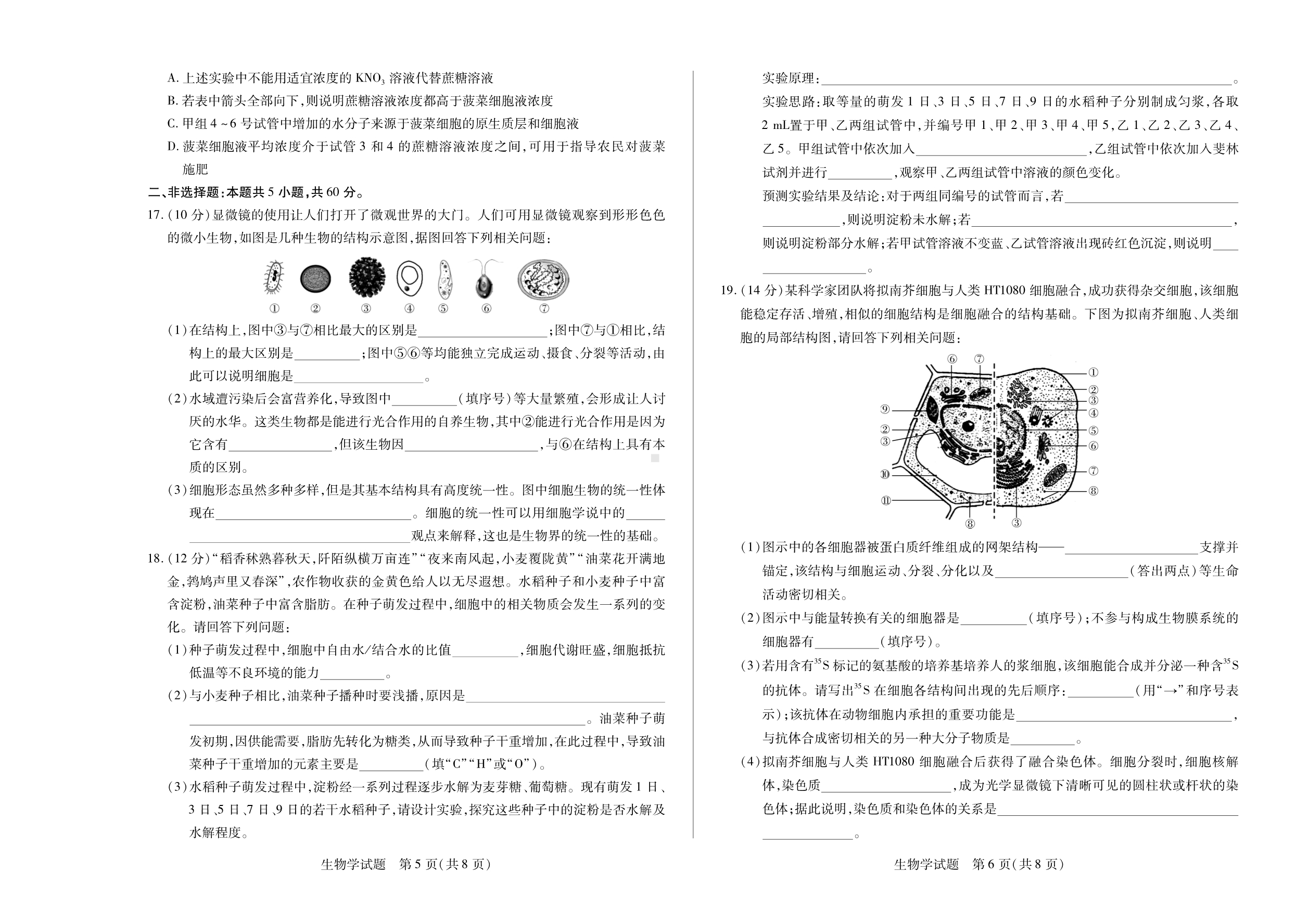 皖豫名校联盟2022-2023学年高一上阶段性测试(二)生物试卷.pdf_第3页