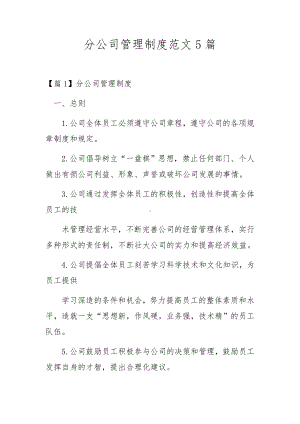 分公司管理制度范文5篇.docx