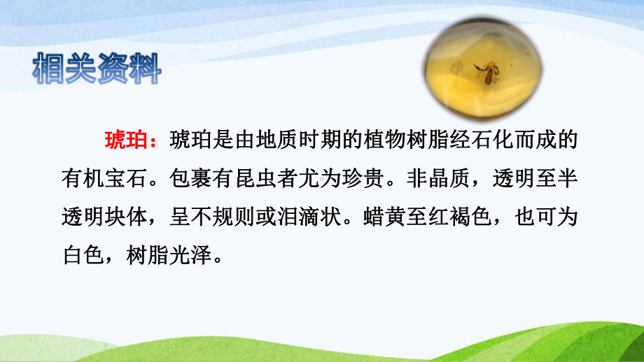 2022-2023部编版语文四年级下册《5琥珀课件（一）》.pptx_第3页