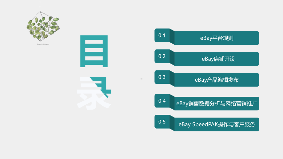 《跨境电商多平台运营》课件ebay平台.pptx_第2页