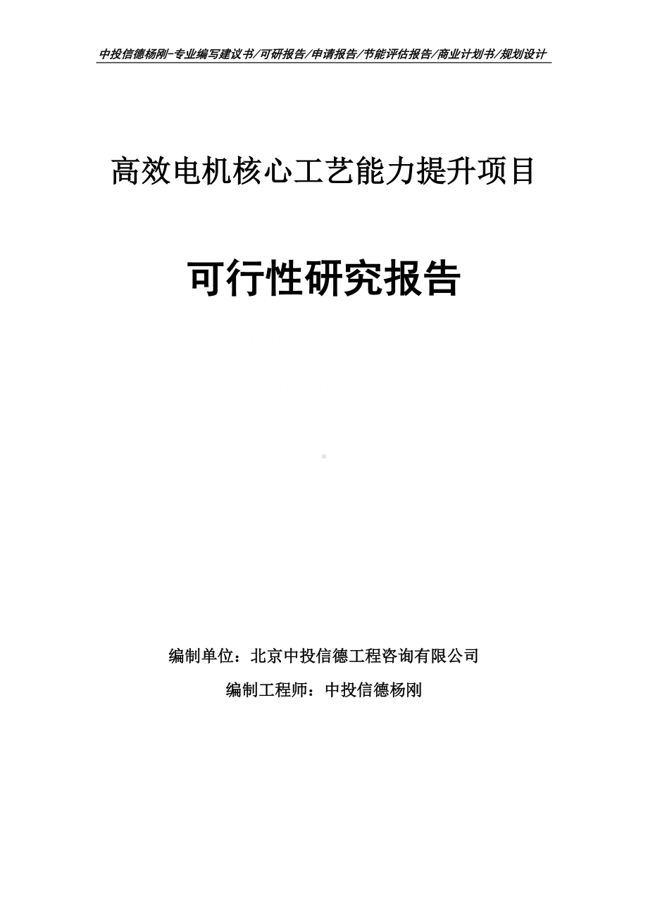 高效电机核心工艺能力提升项目可行性研究报告申请立项.doc_第1页