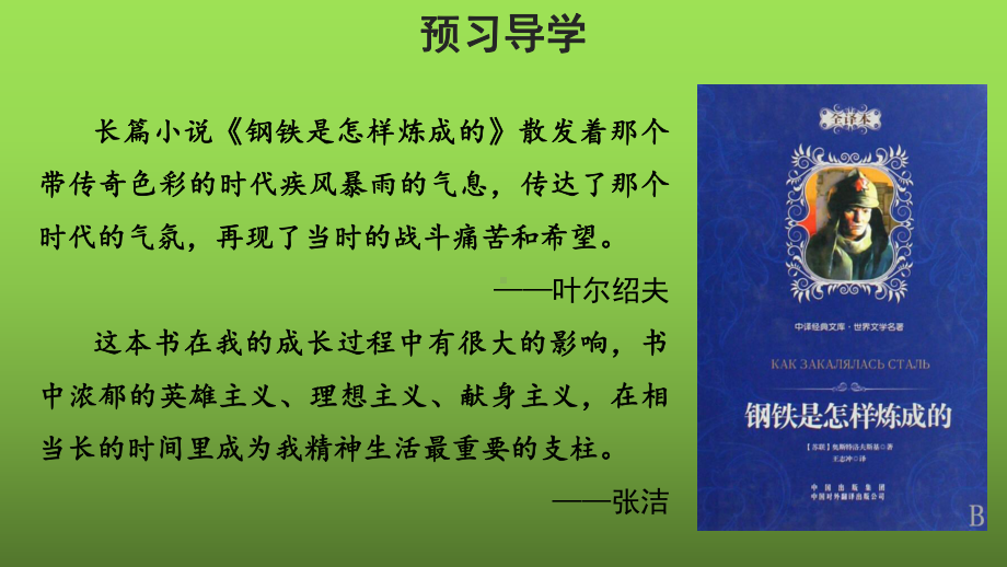 （部编版）名著导读《钢铁是怎样炼成的》摘抄和做笔记公开课一等奖课件.pptx_第2页