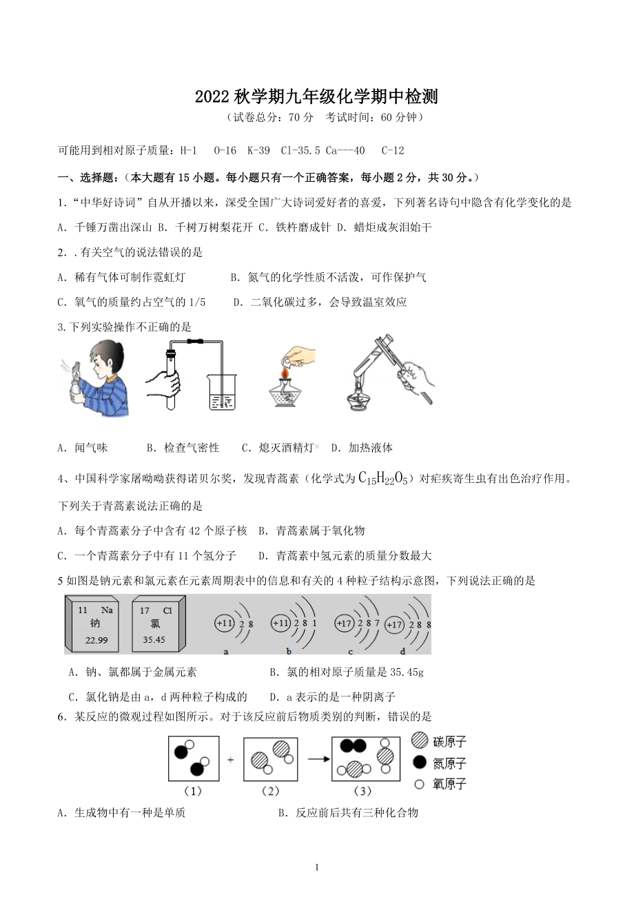 江苏省盐城市射阳外国语学校2022-2023学年九年级上学期期中化学试题.docx_第1页