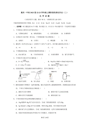 重庆市第一 2022-2023学年九年级上学期阶段消化化学作业（二）.pdf