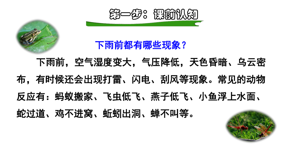 一年级下册语文课件-14.要下雨了课前预习课件 (共11张PPT)部编版.pptx_第2页