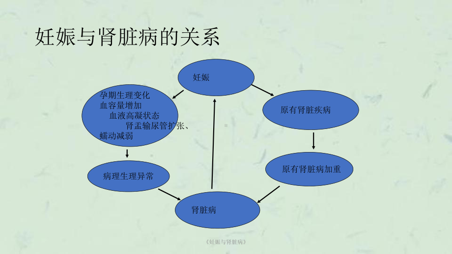 《妊娠与肾脏病》课件.ppt_第3页