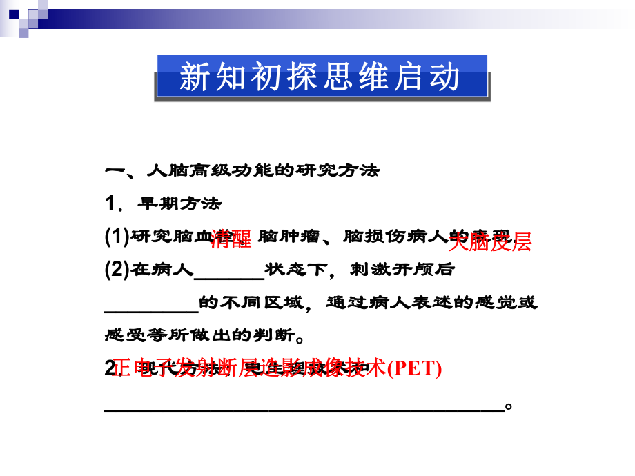 133人脑的高级功能课件(中图版必修3)1.ppt_第3页