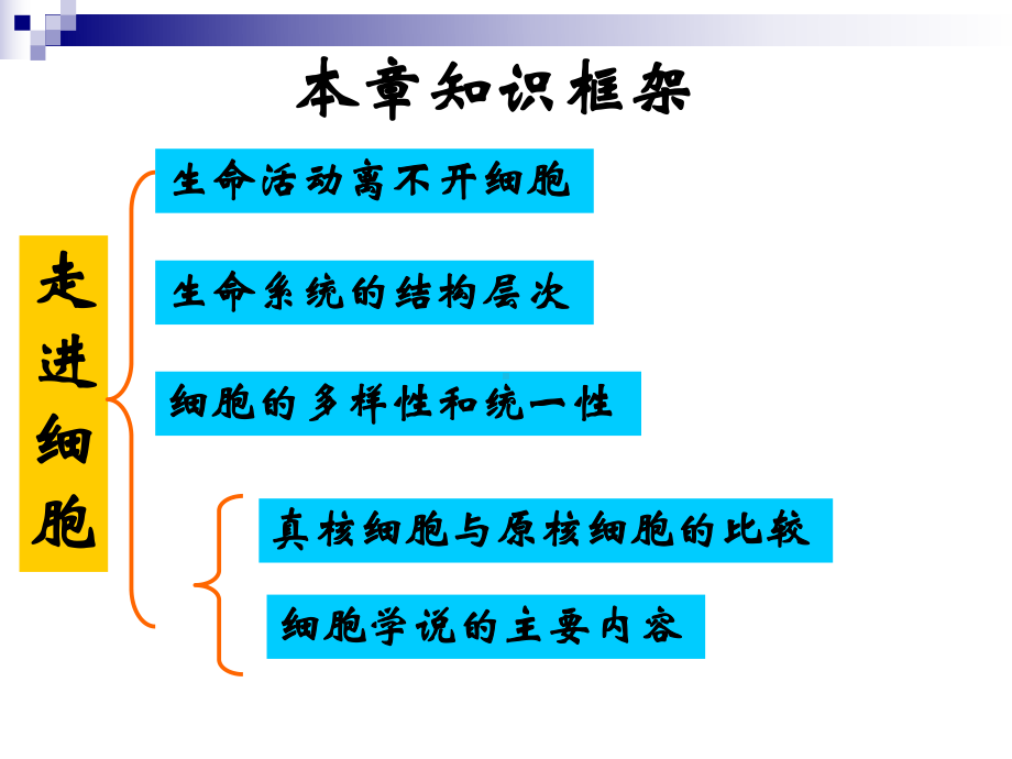 一轮复习第一章走进细胞课件.ppt_第2页