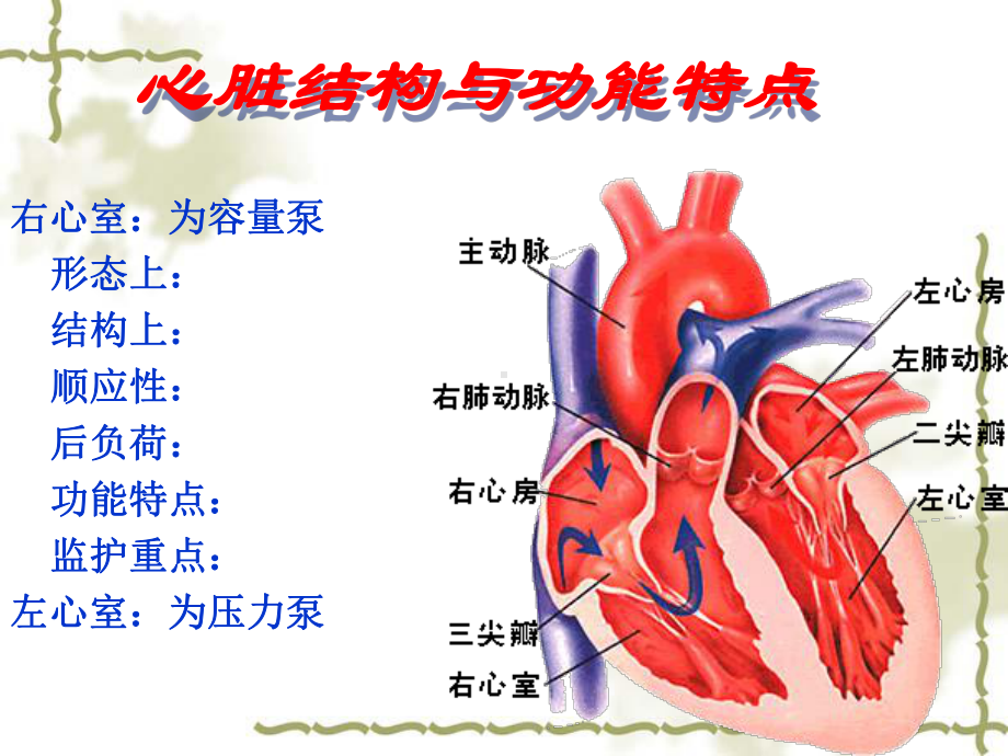 PTCA术患者护理简述课件.ppt_第2页