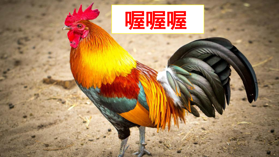 (部编版教材)三年级上册《不会叫的狗》推荐2课件.ppt_第1页