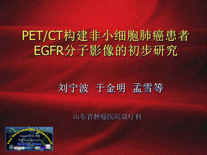 PETCT构建非小细胞肺癌患者EGFR分子影像的初步研究要点课件.ppt