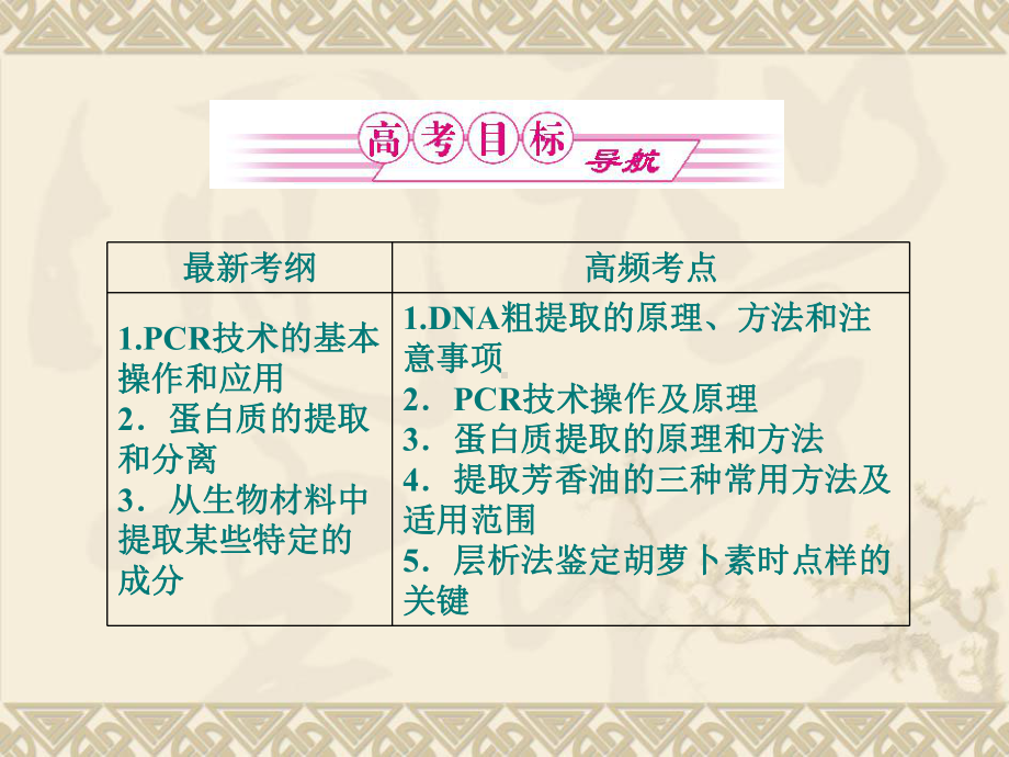2011高考生物一轮复习课件：选修1专题5、6 DNA蛋白质技术.ppt_第2页