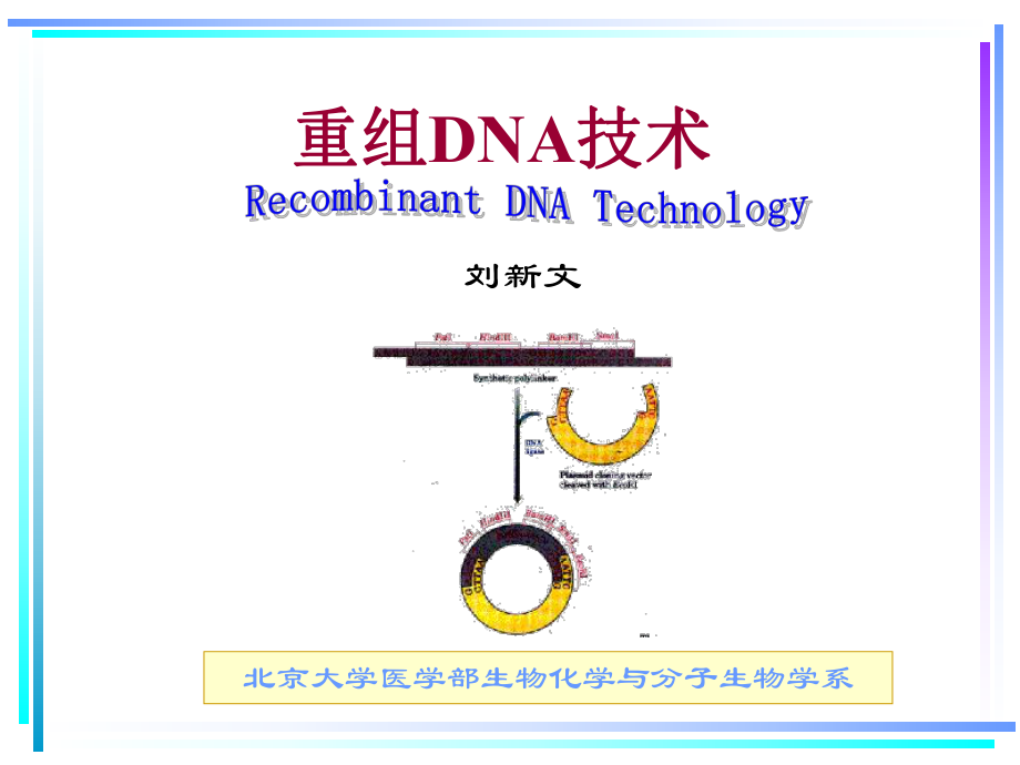 (北医生物化学课件）重组DNA技术.ppt_第1页