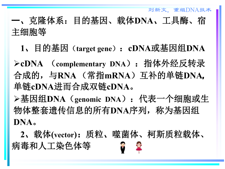 (北医生物化学课件）重组DNA技术.ppt_第3页