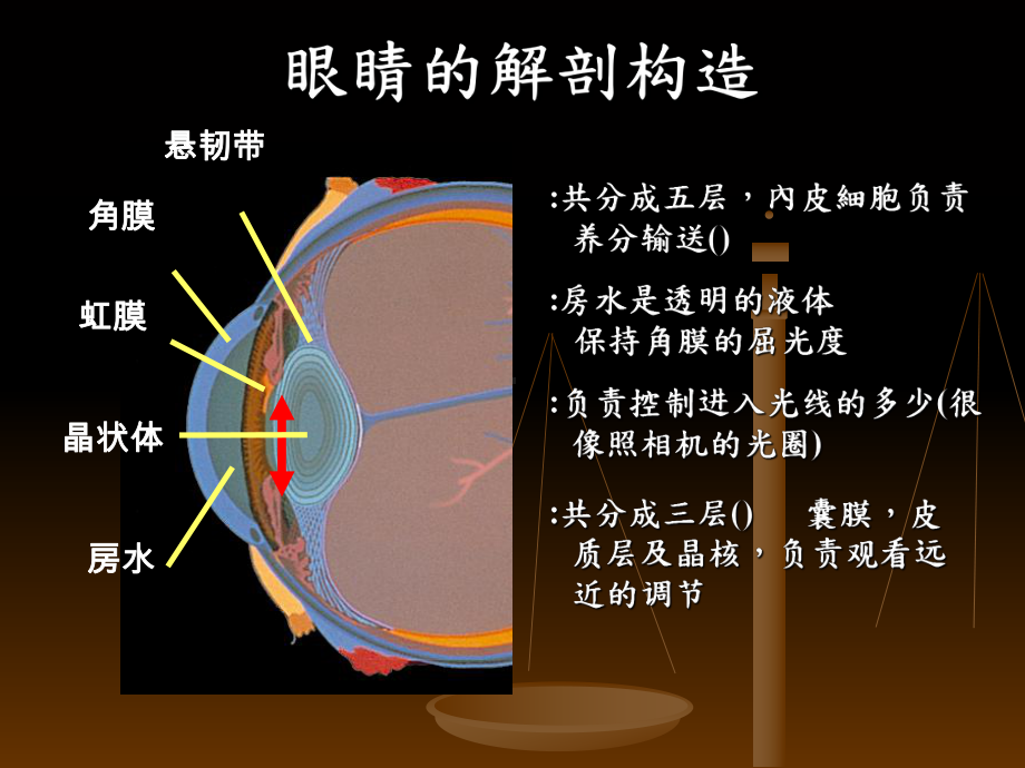 whatisbluelight厦门长庚医院xiamenchang课件.ppt_第2页