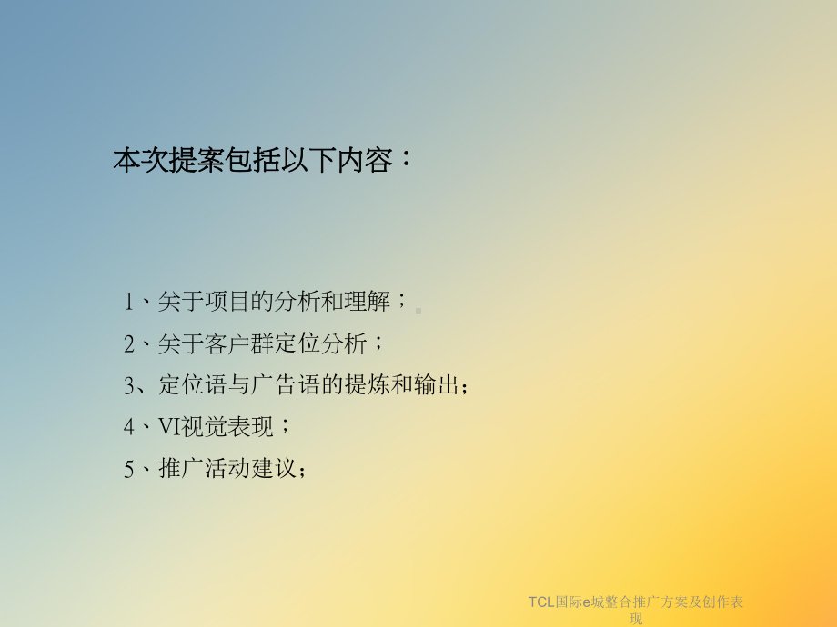 TCL国际e城整合推广方案及创作表现课件.ppt_第2页