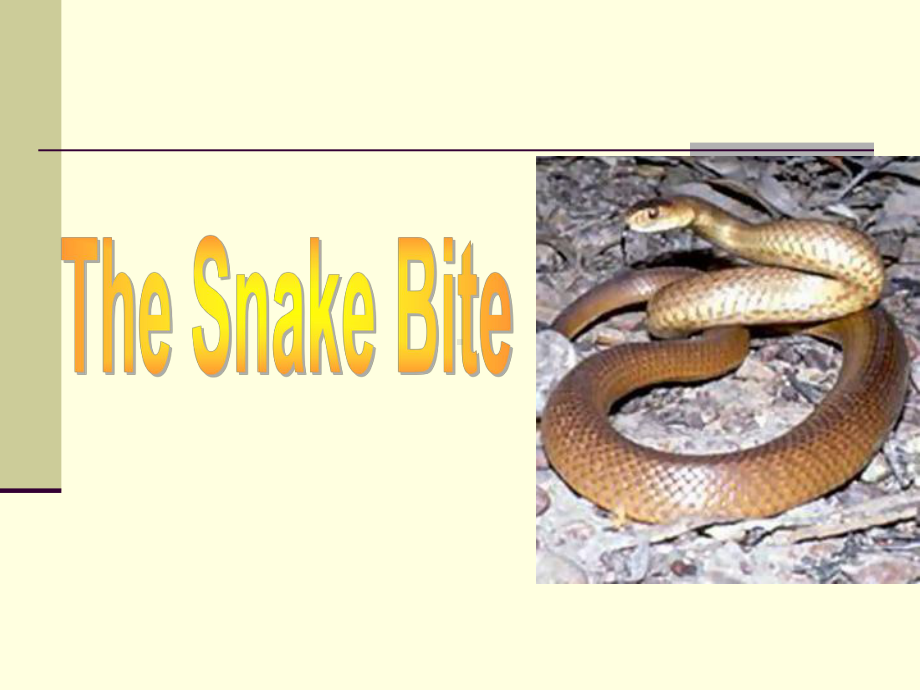 Unit3TheSnakeBite(被蛇咬)(综合英语教程2第三单元)课件.ppt（纯ppt,可能不含音视频素材）_第1页