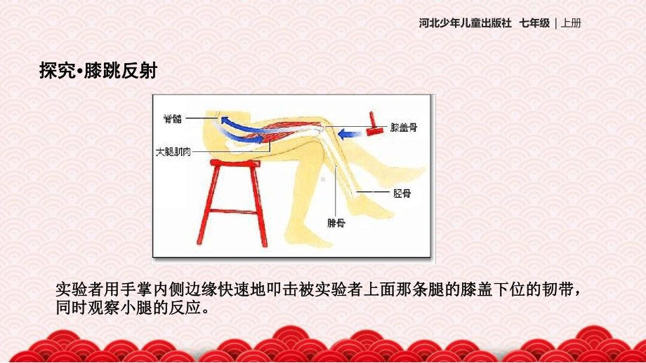 七年级下册生物课件243信息的处理课件冀少版.ppt_第3页