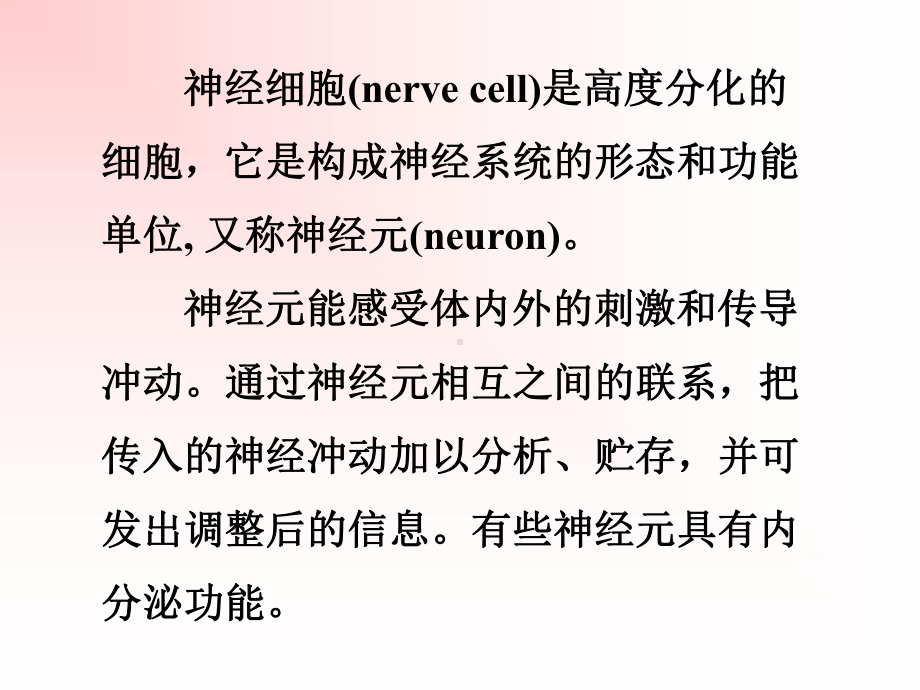 三峡大学医学院组织学与胚胎学课件神经组织与神经系统.ppt_第3页