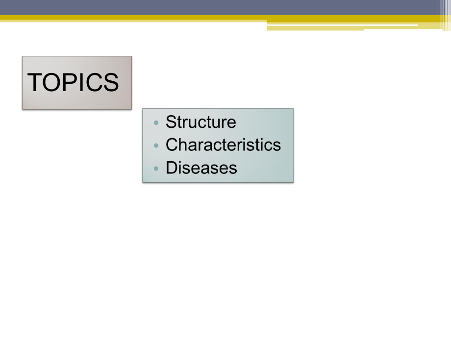 THEDIFFERENCESBETWEENPLANTANDANIMALVIRUSES：植物和动物病毒之间差异课件.ppt_第2页