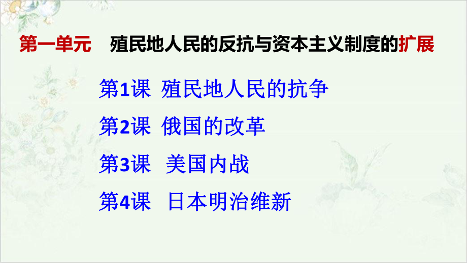 (部编)《殖民地人民的反抗与资本主义制度的扩展》公开课课件.pptx_第1页