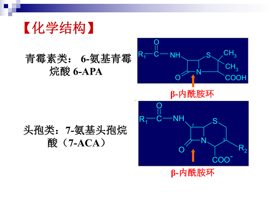 B内酰胺类抗生素 课件1.ppt_第2页