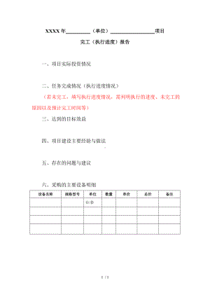 （单位）项目完工（执行进度）报告参考模板范本.doc