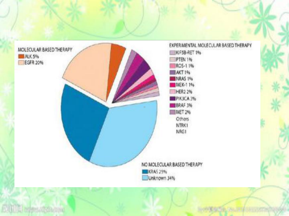 NSCLC分子靶向药物1课件.ppt_第3页