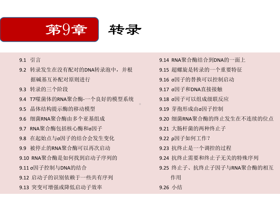 T噬菌体的RNA聚合酶课件.ppt_第1页