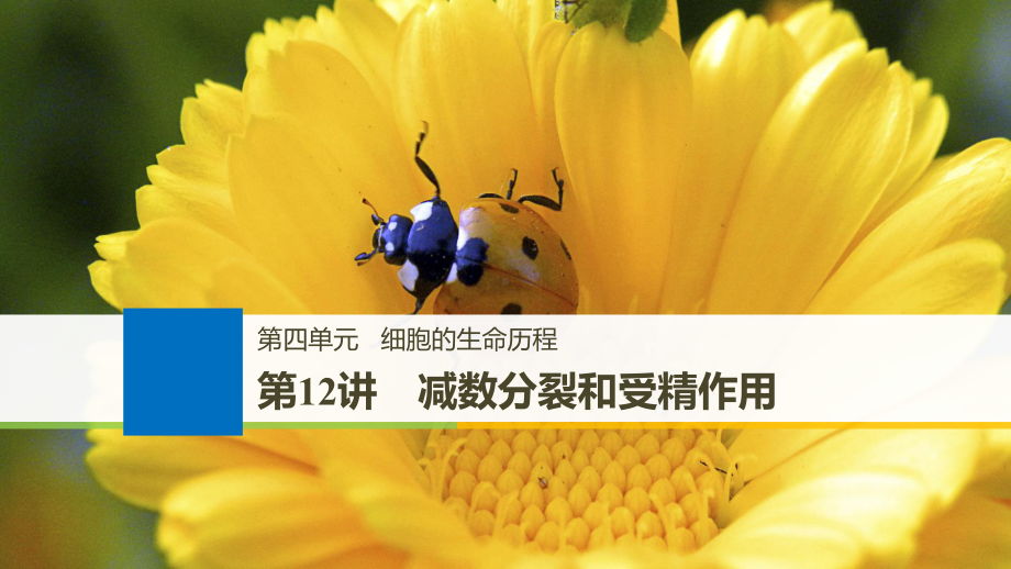 2020届高三生物一轮复习：减数分裂和受精作用课件.pptx_第1页