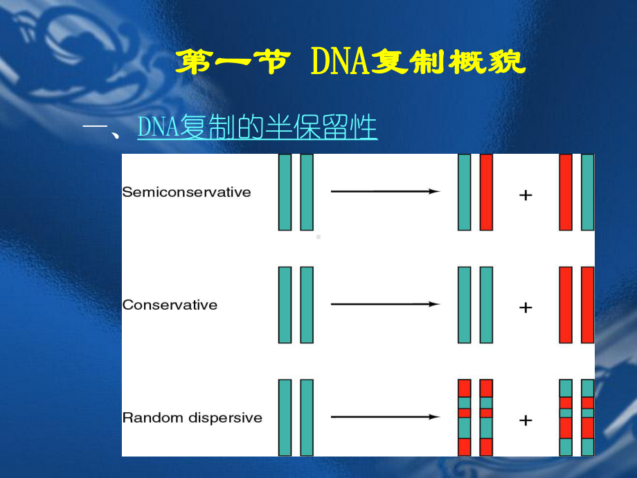 DNA的复制教学讲解课件.ppt_第2页