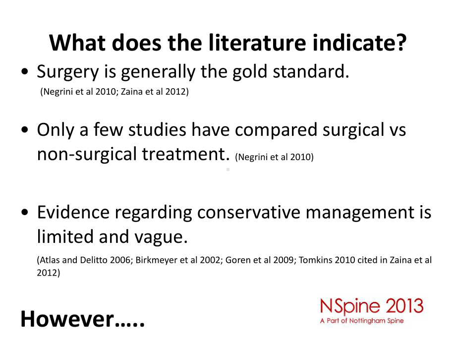 Lumbar Spinal StenosisNSpine：腰椎椎管狭窄nspine课件.ppt_第3页