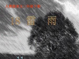 (新人教版)二年级语文下册《雷雨》课件.ppt