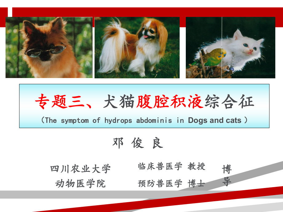 专题三犬猫腹腔积液综合征课件.ppt_第1页