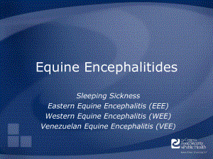 Equine Viral EncephalitisIowa State University：马病毒性脑炎爱荷华州立大学课件.ppt