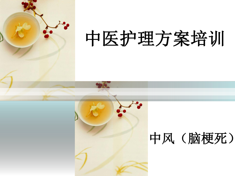 《中风护理方案》课件.ppt_第1页