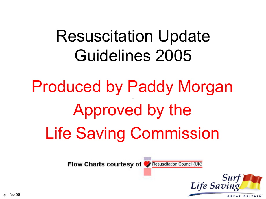 Resuscitation Update Guidelines 2005：复苏更新指南2005课件.ppt_第1页