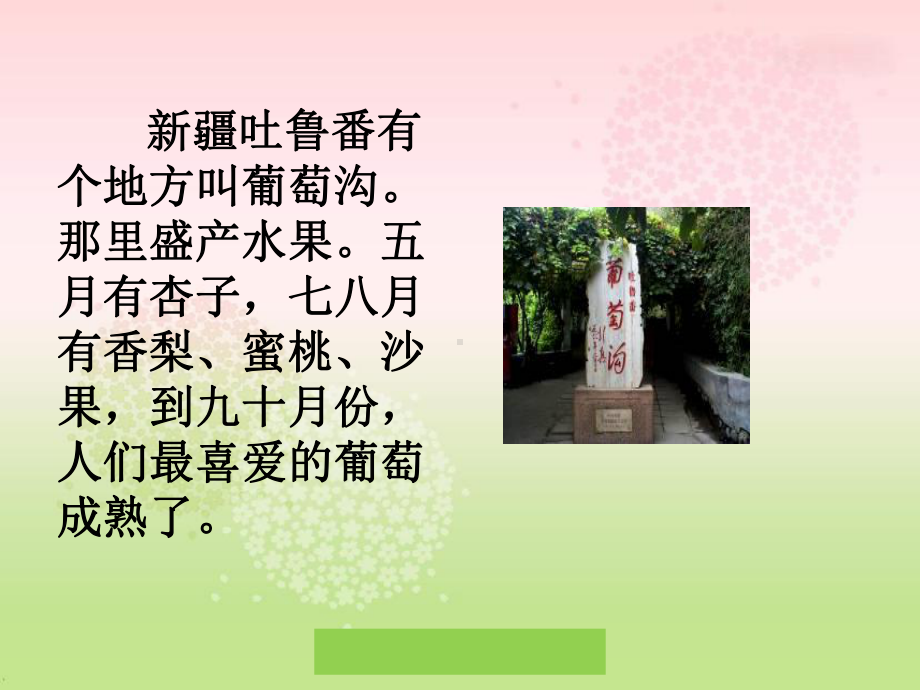 《葡萄沟第二课时课件.ppt_第3页