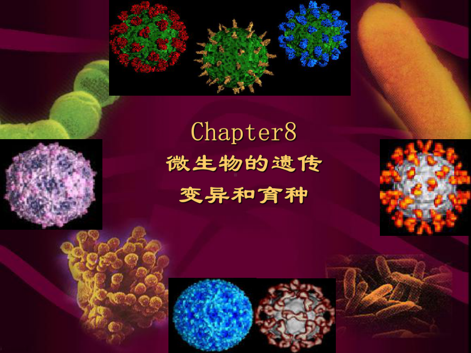 Chapter8微生物的遗传变异和育种课件.ppt_第1页