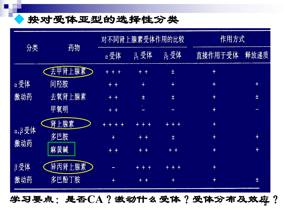 8拟肾上腺素药 9抗肾上腺素药(54学时)课件.ppt_第2页