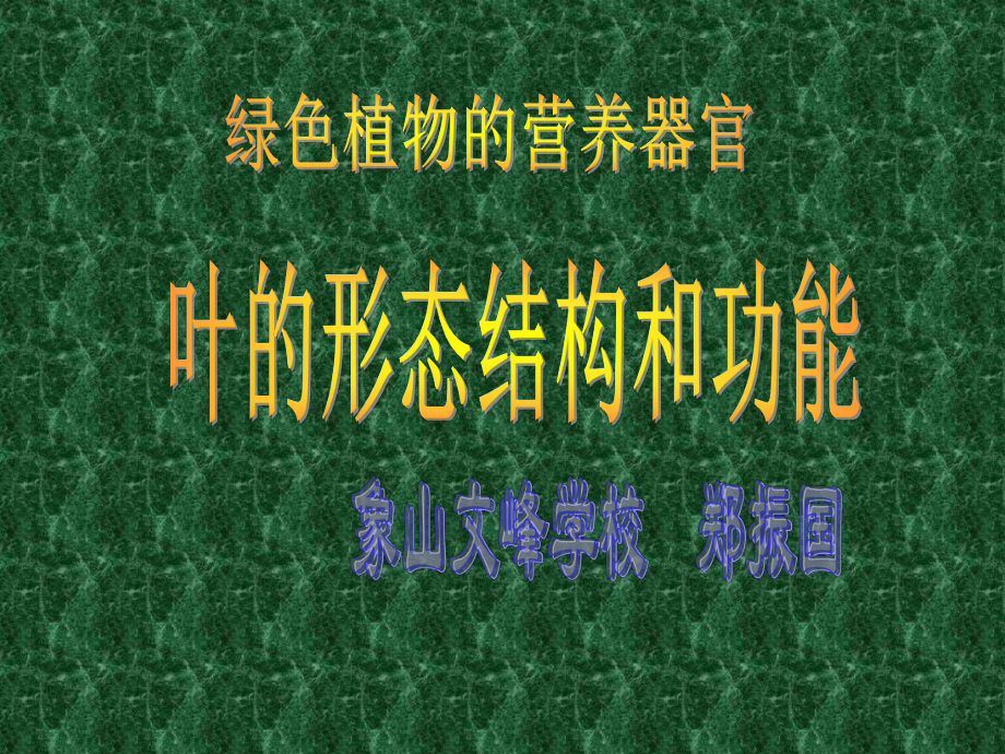 七年级科学植物叶课件.ppt_第1页