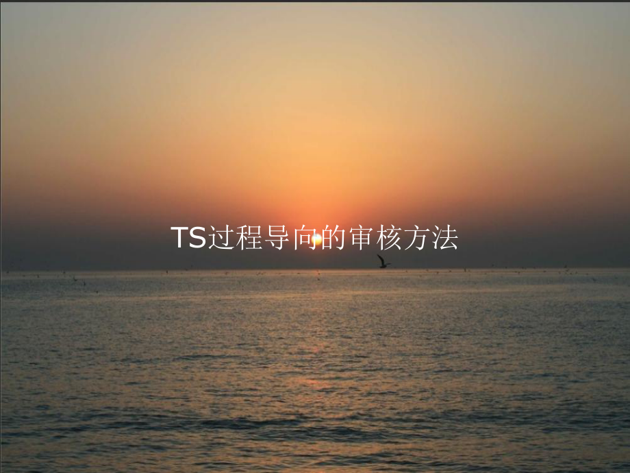 《TS过程导向的审核方法》课件教案模板.ppt_第1页