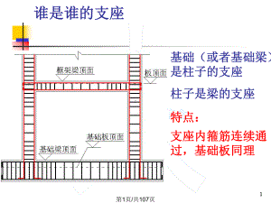 114754钢筋知识点串讲课件.pptx