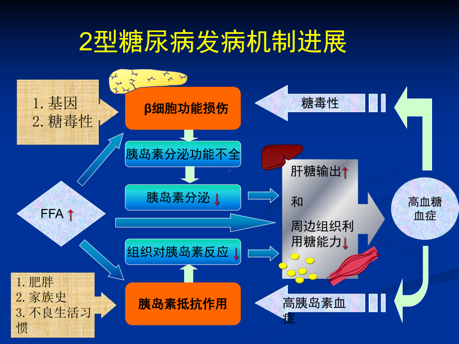 [医药卫生]糖尿病研究的新进展课件.ppt_第2页